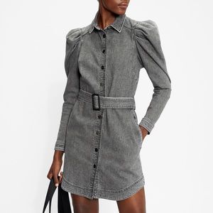 NWT Ted Baker Pasccal Denim Shirt Dress Size 1 Grey